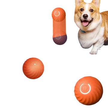 Smart Dog Toy Ball