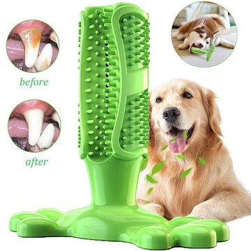 Ultimate Squeaky Chew Toy